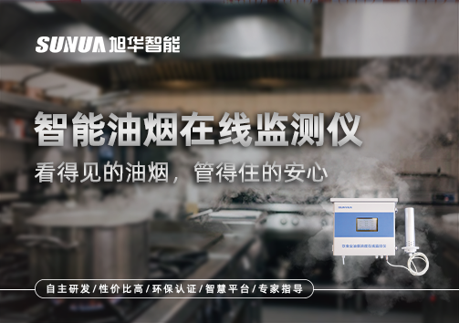智能油烟在线监测仪：看得见的油烟，管得住的安心